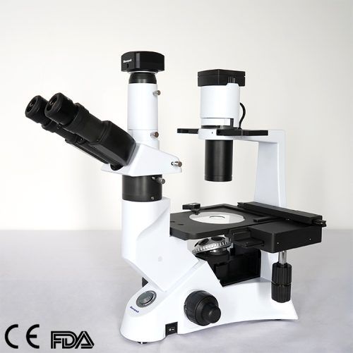 inverted-microscope-MSC-IV100