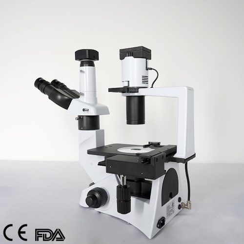 Inverted Microscope, MSC-IV100