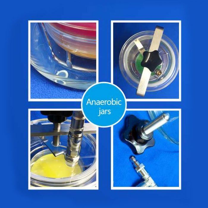 Anaerobic Jar Bioevopeak