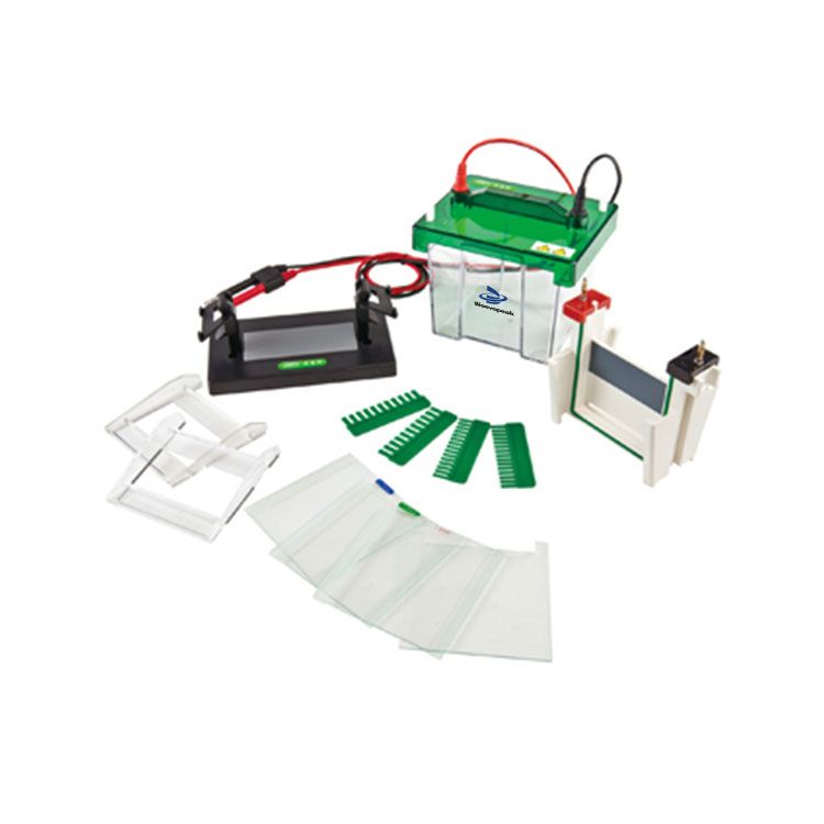 Mini Vertical Electrophoresis Tank