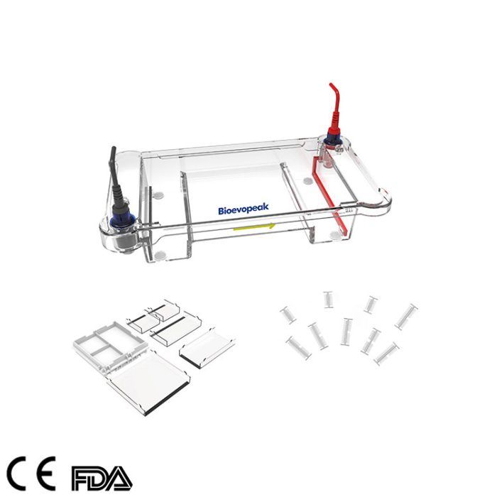 Electrophoresis Cell, GEP-EC-LDNA