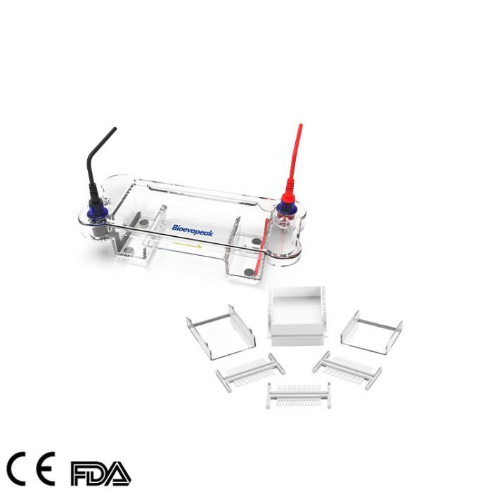 Electrophoresis-Cell,-GEP-EC-MDNA