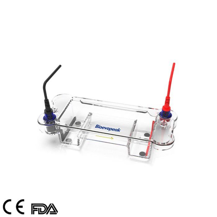 Electrophoresis-Cell,-GEP-EC-MDNA