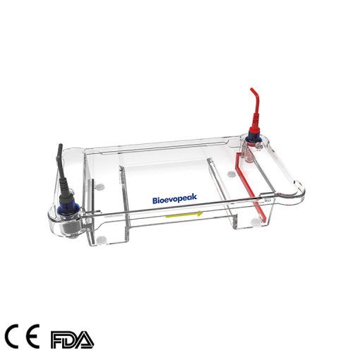 Electrophoresis-Cell，GEP-EC-MDDNA-1