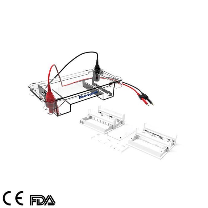 Agarose Horizontal Electrophoresis Tank, GEP-HH-SUB02