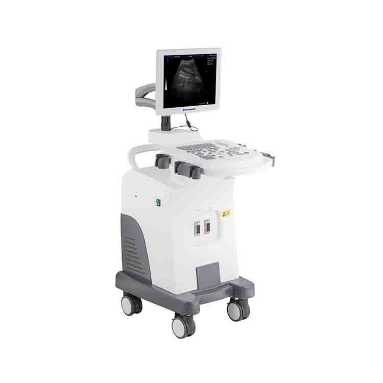 Siemens Ultrasonografi Cihazı Tamiri