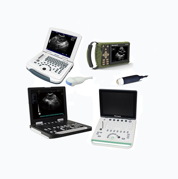Veterinary Ultrasound Diagnosis